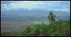 Ngorongoro Crater